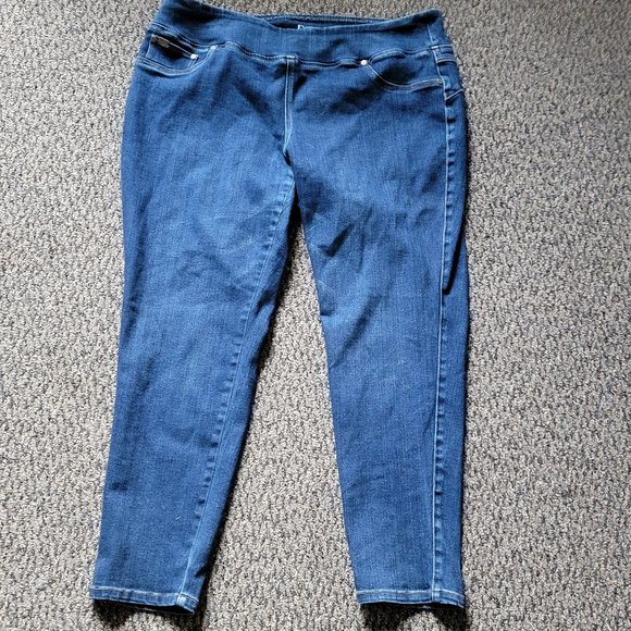 DG2 by Diane Gilman Dark Wash Stretch Jeggings Size 1X - Picture 3 of 9